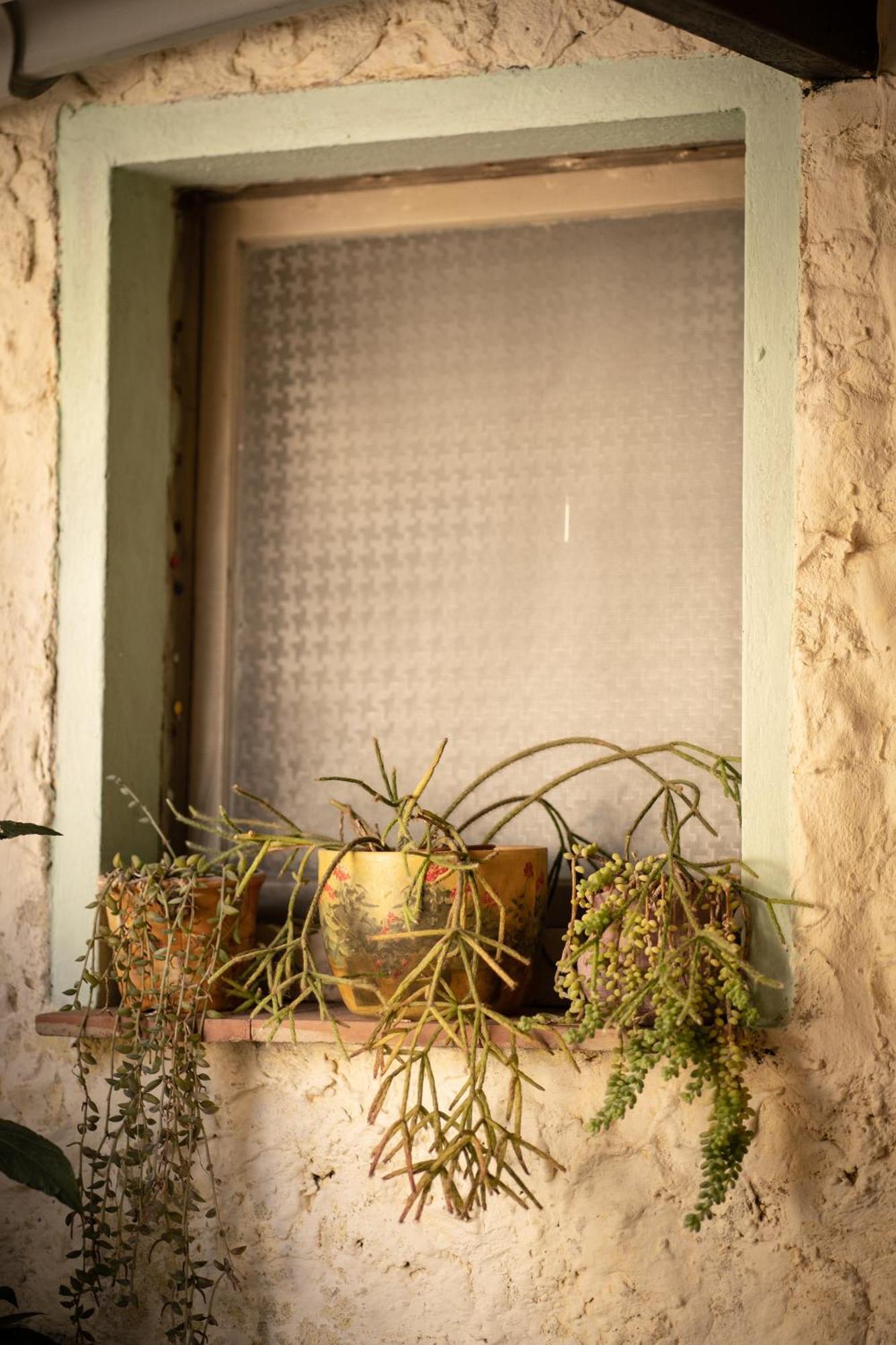 Sa Domu De Ladiri - Matrimoniale Con Giardino Bed & Breakfast Musei Exterior photo